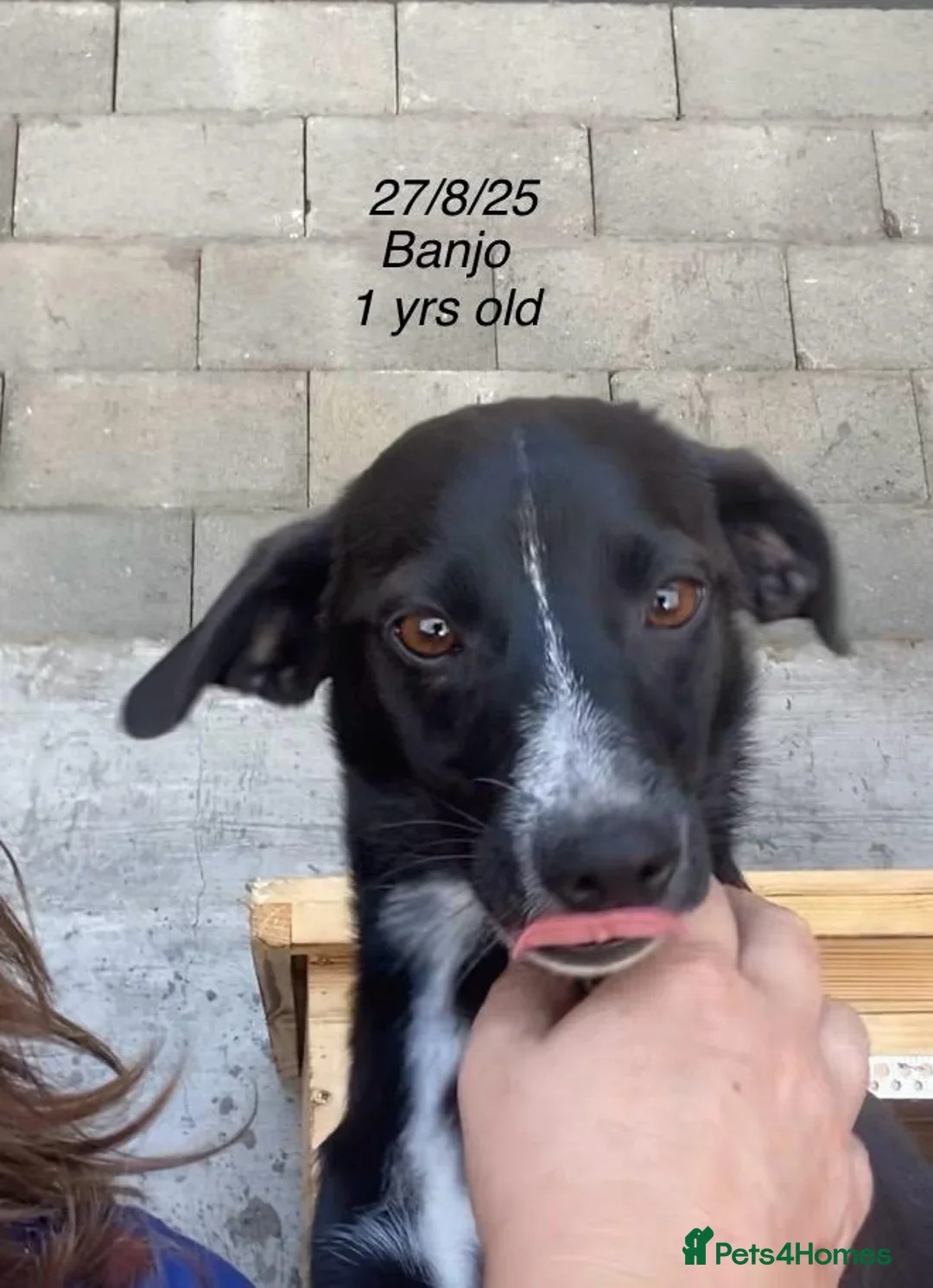 originalImage (2).webp