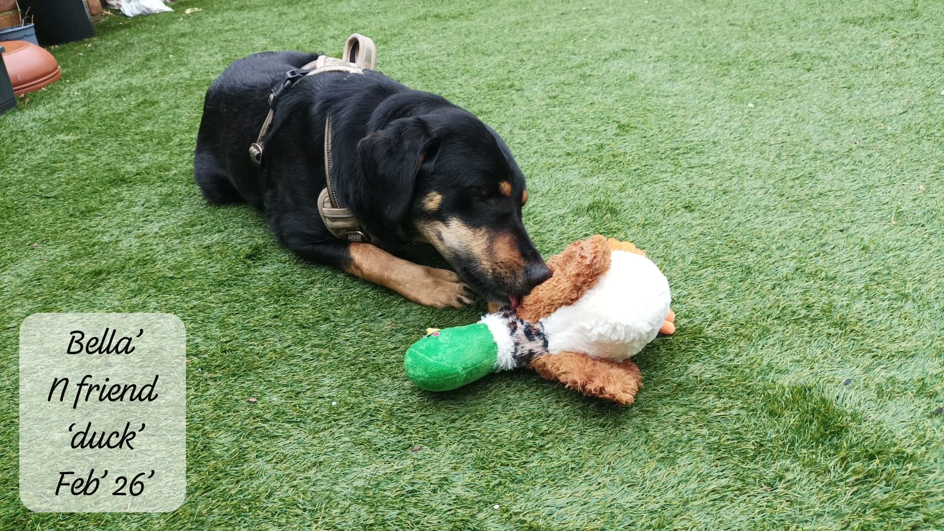 WhatsApp Image 2026-02-27 at 11.51.37 (1).jpeg