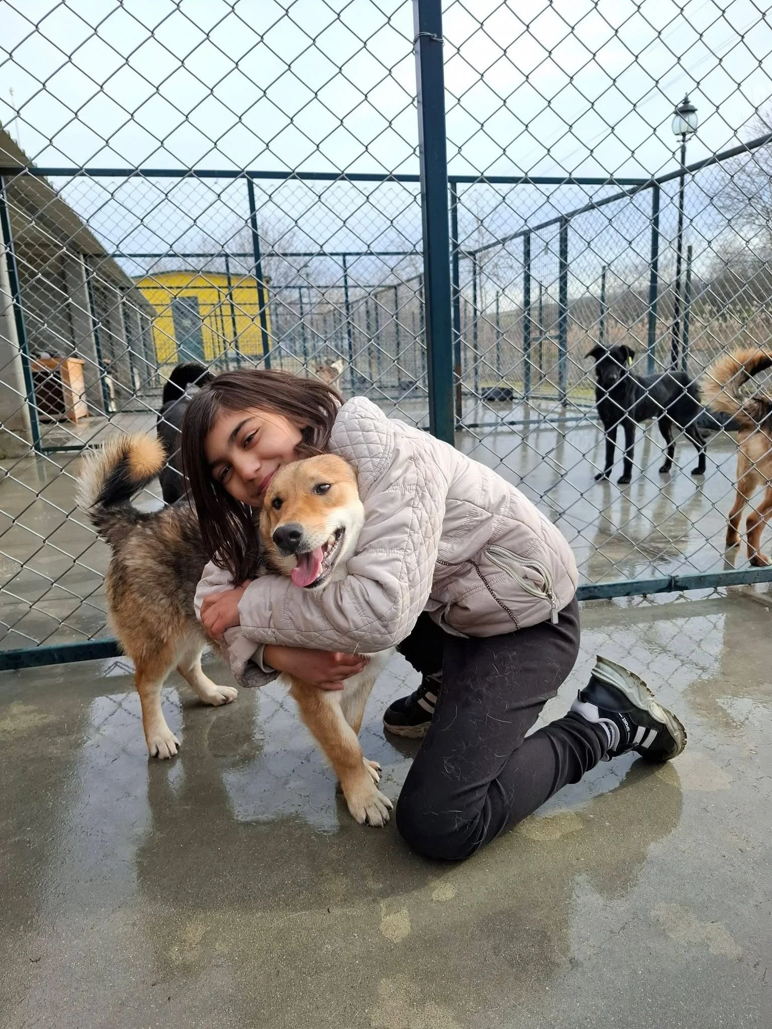 A young woman kneeling on wet concrete, hugging a smiling light-colored dog, in front of a chain-link fence at a dog kennel or shelter, with other dogs in outdoor runs in the background.