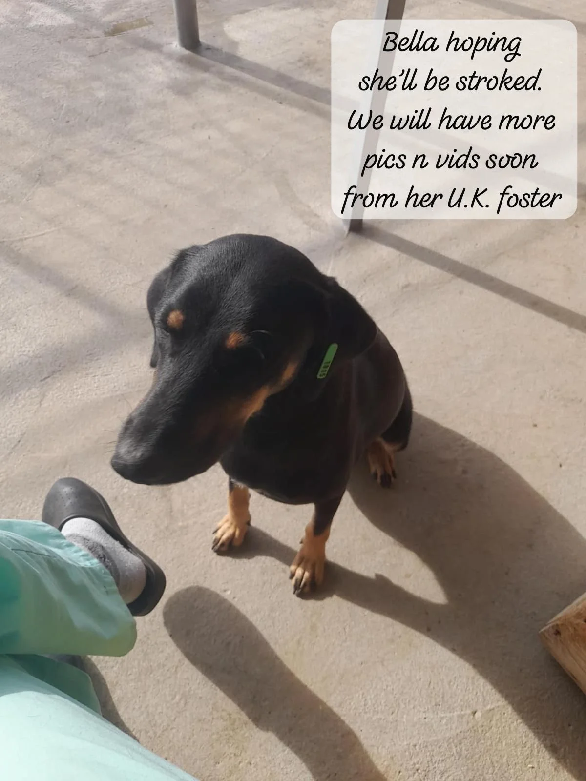 WhatsApp Image 2026-02-10 at 14.19.59.jpeg