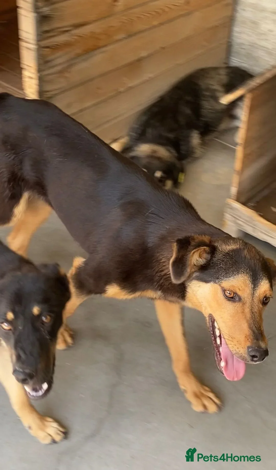 originalImage (6).webp