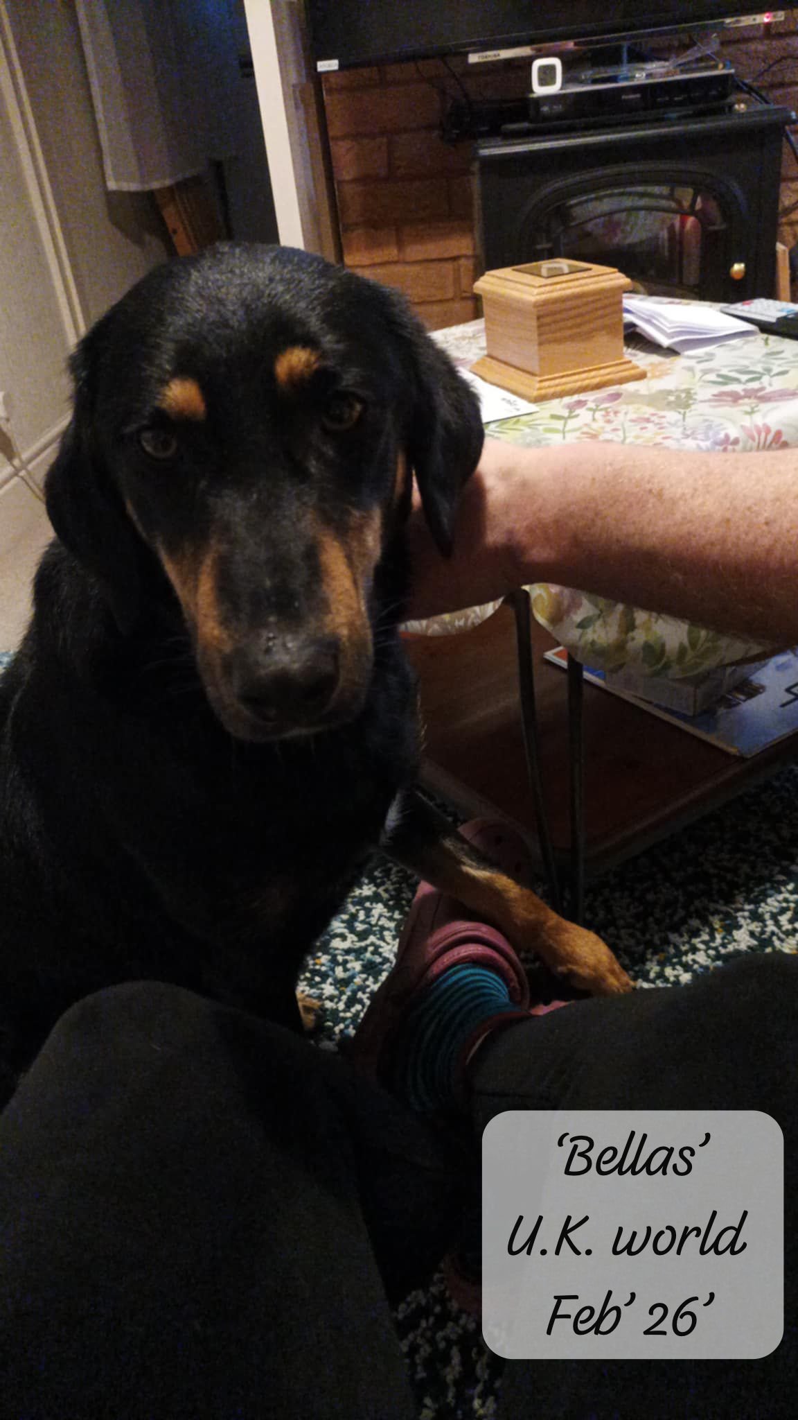 WhatsApp Image 2026-02-27 at 11.48.51.jpeg