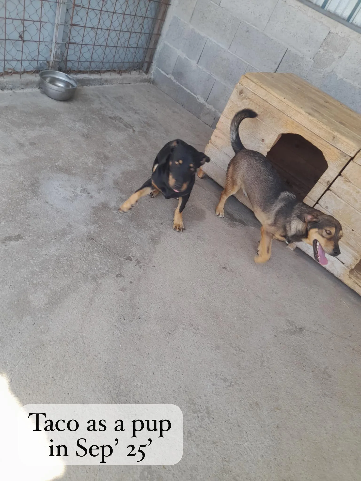 WhatsApp Image 2026-03-06 at 15.18.23 (3).jpeg