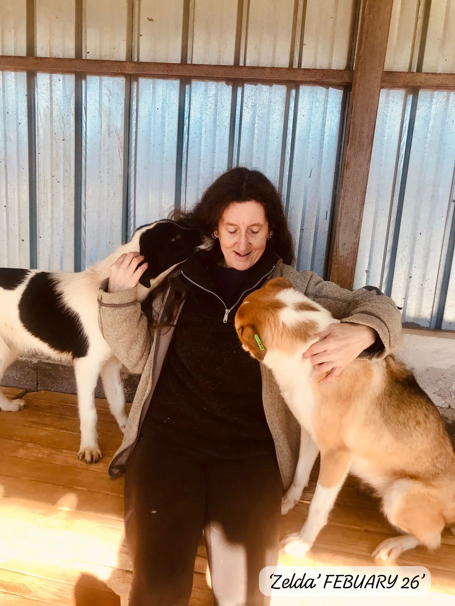 WhatsApp Image 2026-03-05 at 10.15.05 (1).jpeg