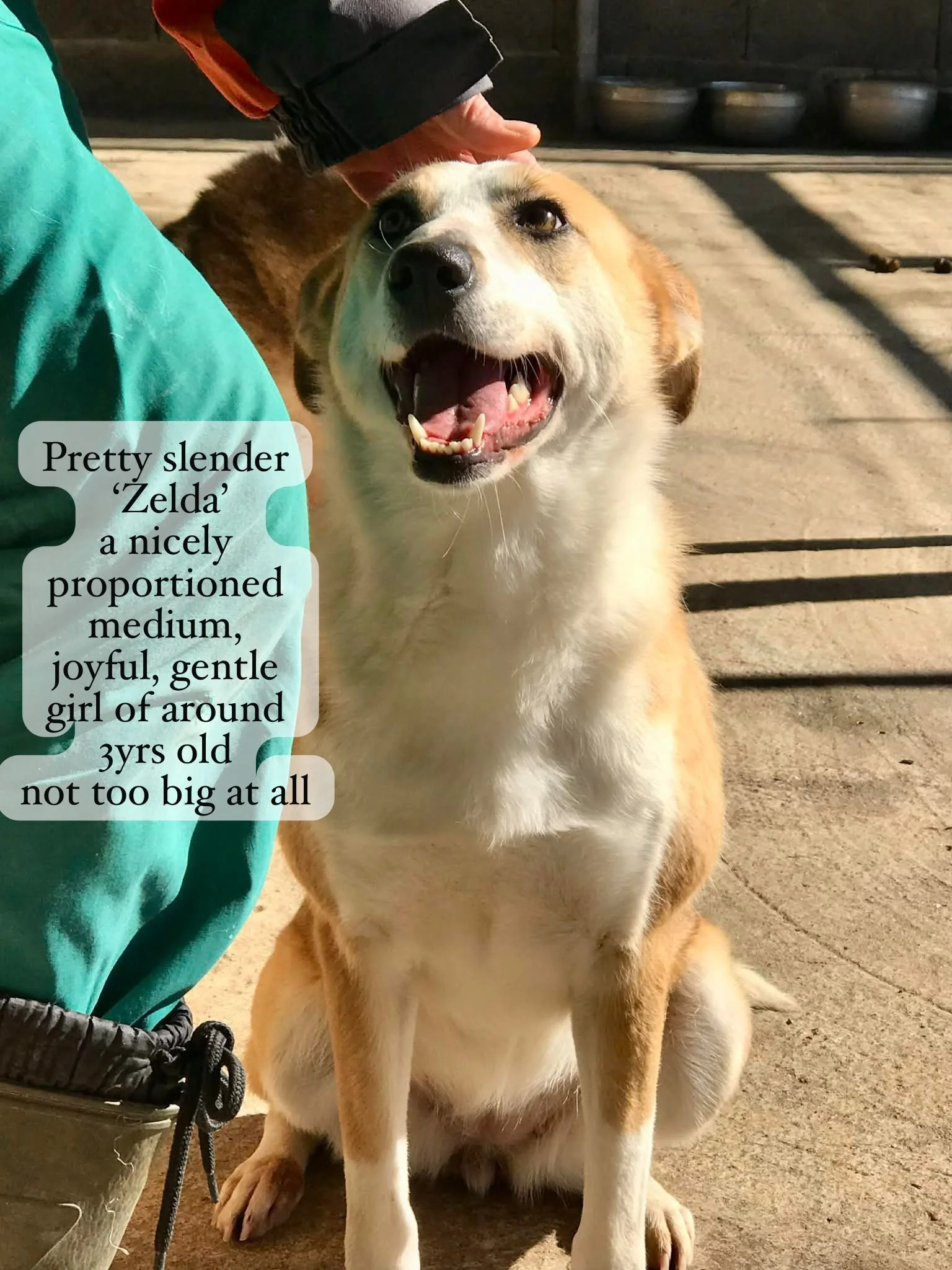 WhatsApp Image 2026-03-03 at 13.33.23.jpeg