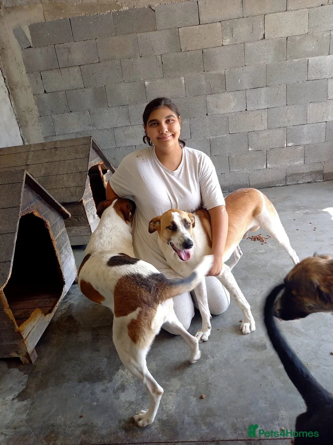 originalImage (2).webp