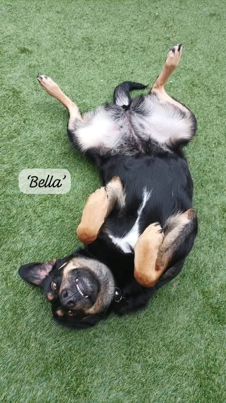 WhatsApp Image 2026-02-28 at 14.25.36.jpeg