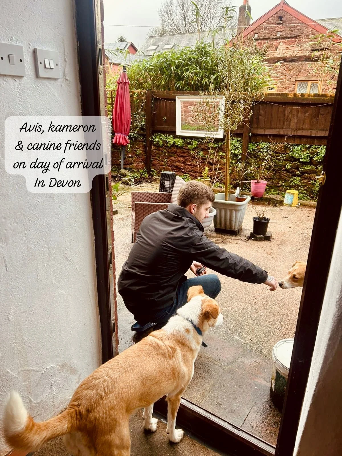 WhatsApp Image 2026-02-08 at 10.19.59 (4).jpeg