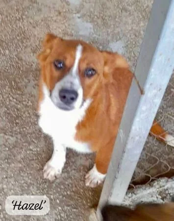 WhatsApp Image 2026-03-17 at 16.12.40 (4).jpeg