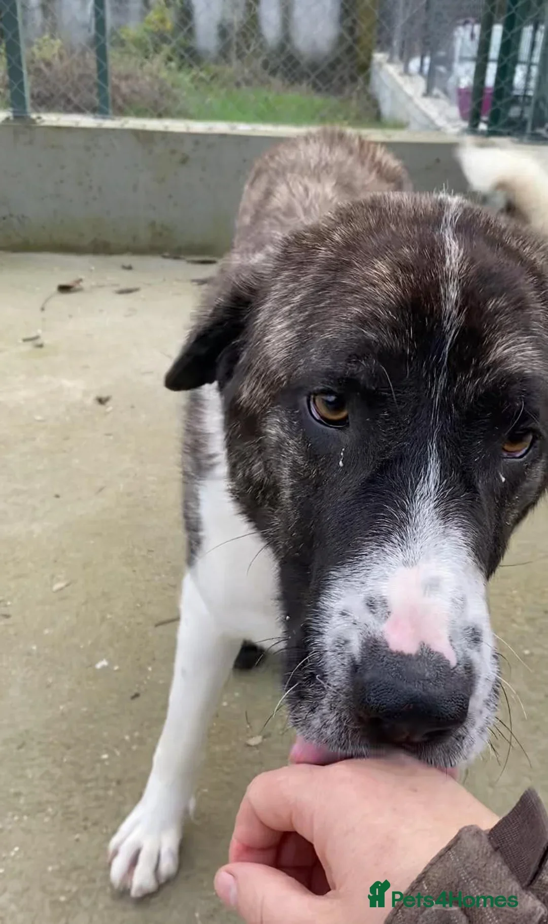 originalImage (6).webp