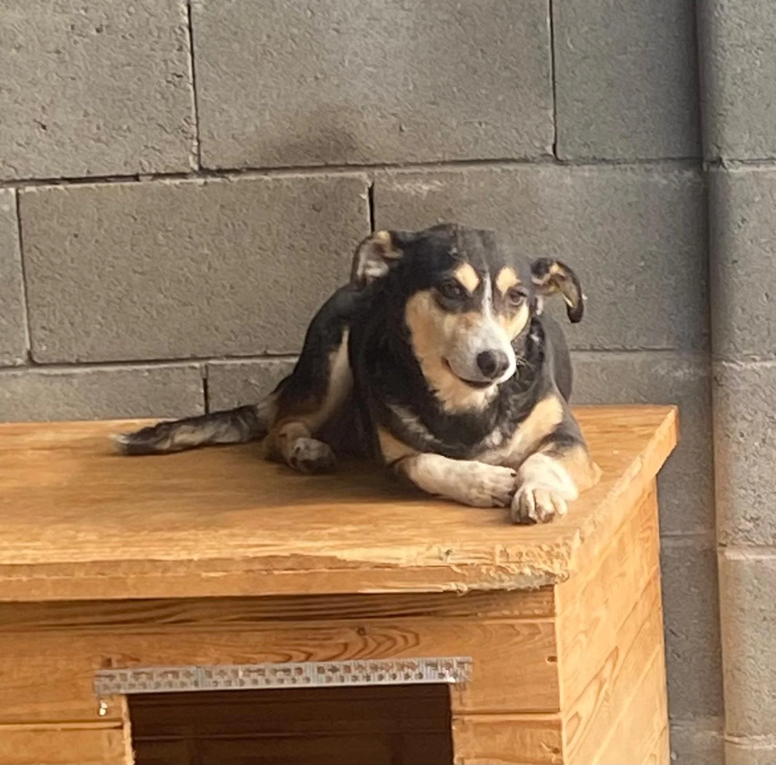 WhatsApp Image 2026-01-07 at 12.04.336.jpeg