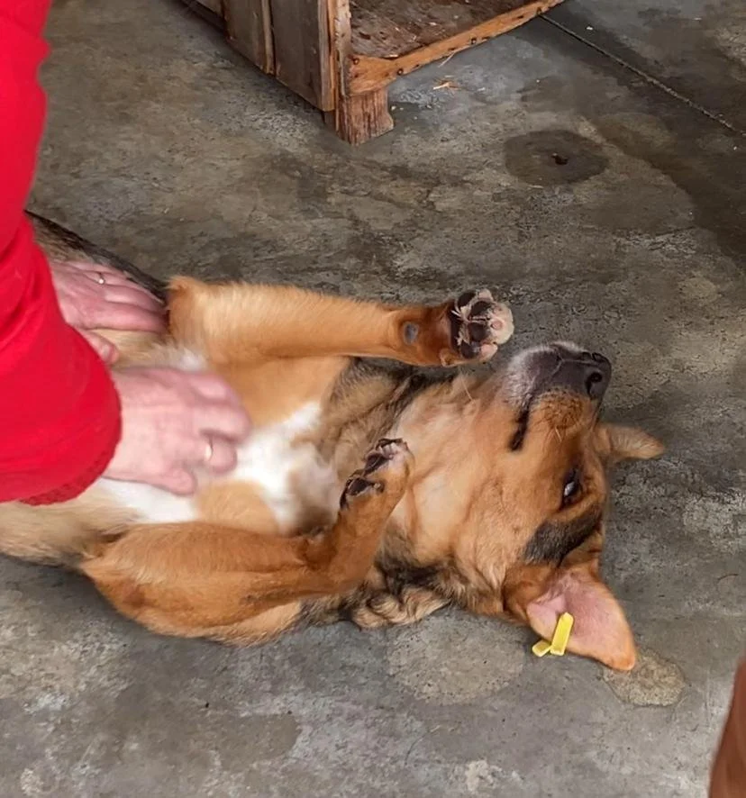 WhatsApp Image 2026-01-06 at 06.02.264.jpeg