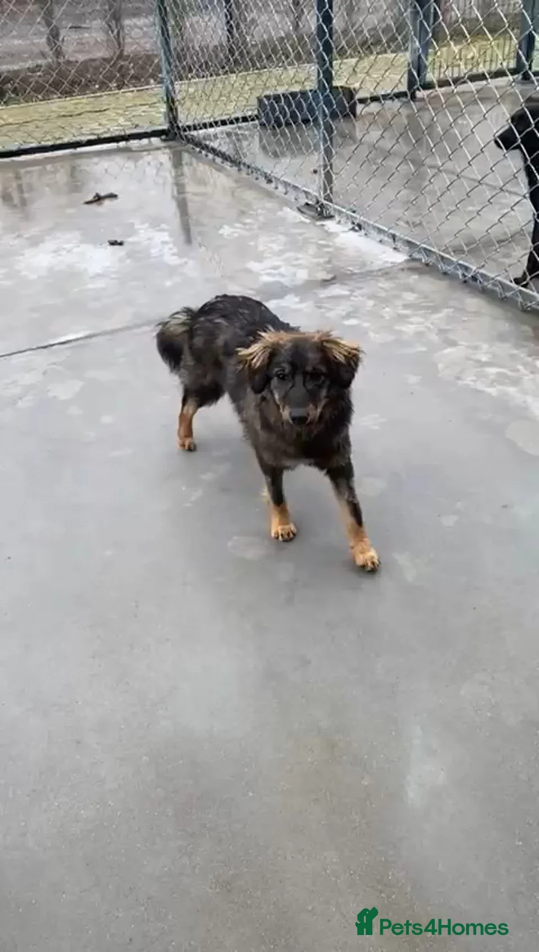 originalImage (7).webp