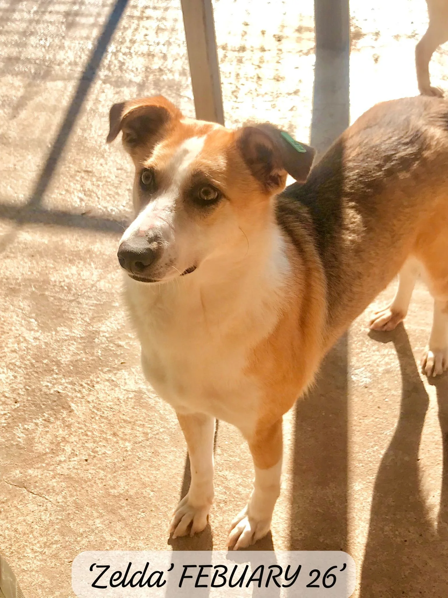 WhatsApp Image 2026-03-05 at 10.15.03.jpeg