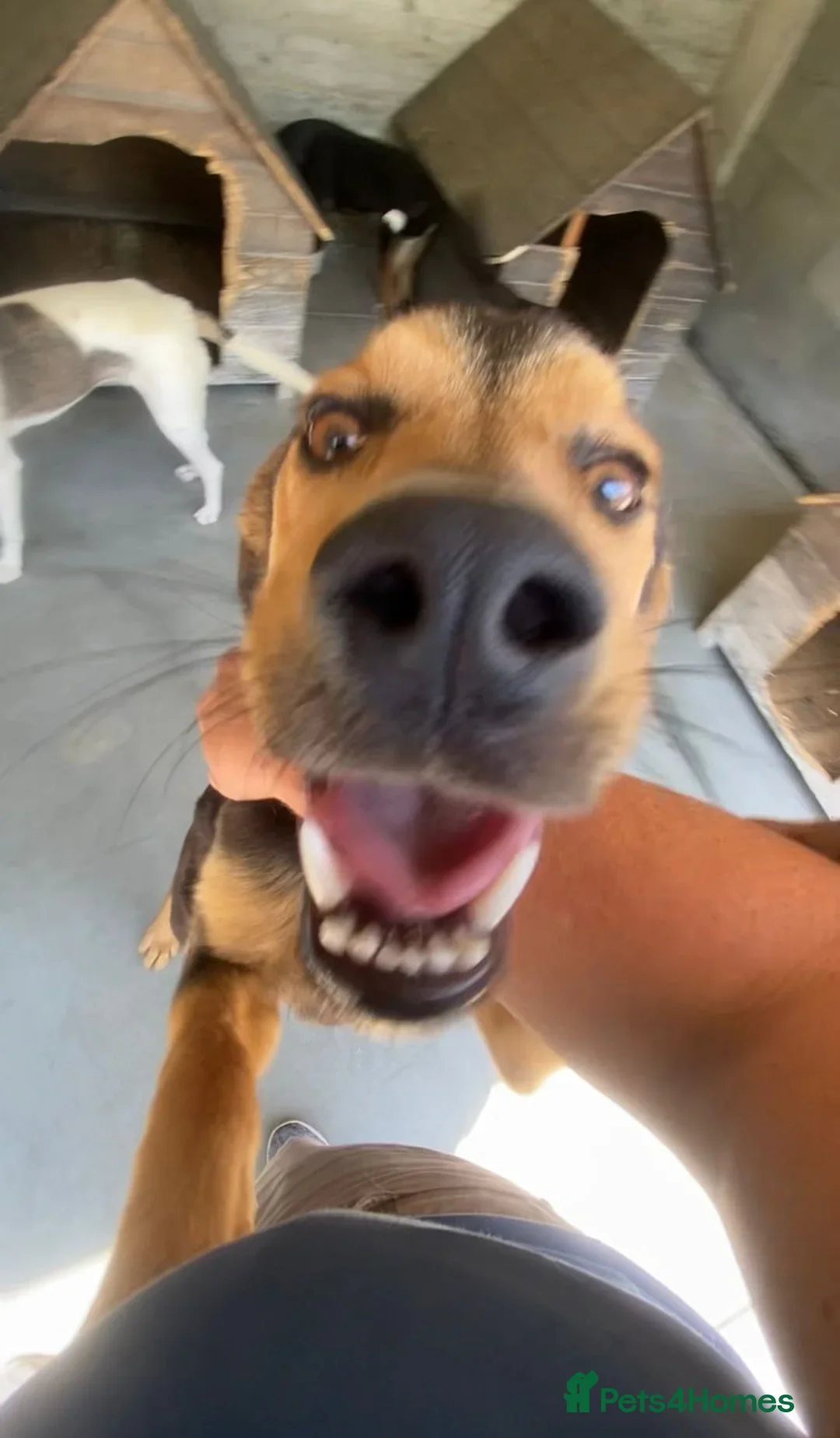 originalImage (4).webp