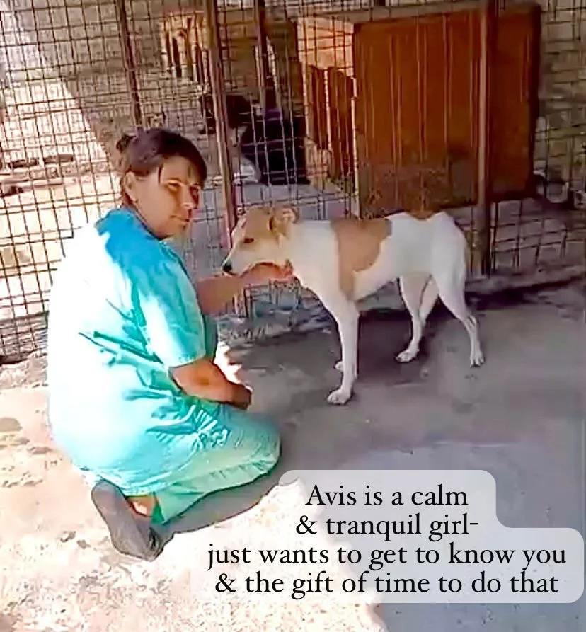 WhatsApp Image 2026-02-08 at 10.20.01 (2).jpeg