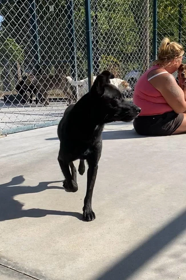 WhatsApp Image 2026-01-06 at 06.01.3.jpeg