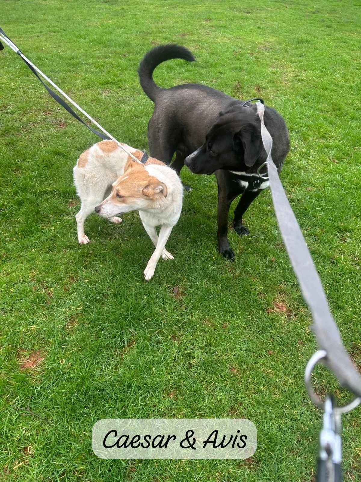 WhatsApp Image 2026-02-28 at 16.19.55 (1).jpeg