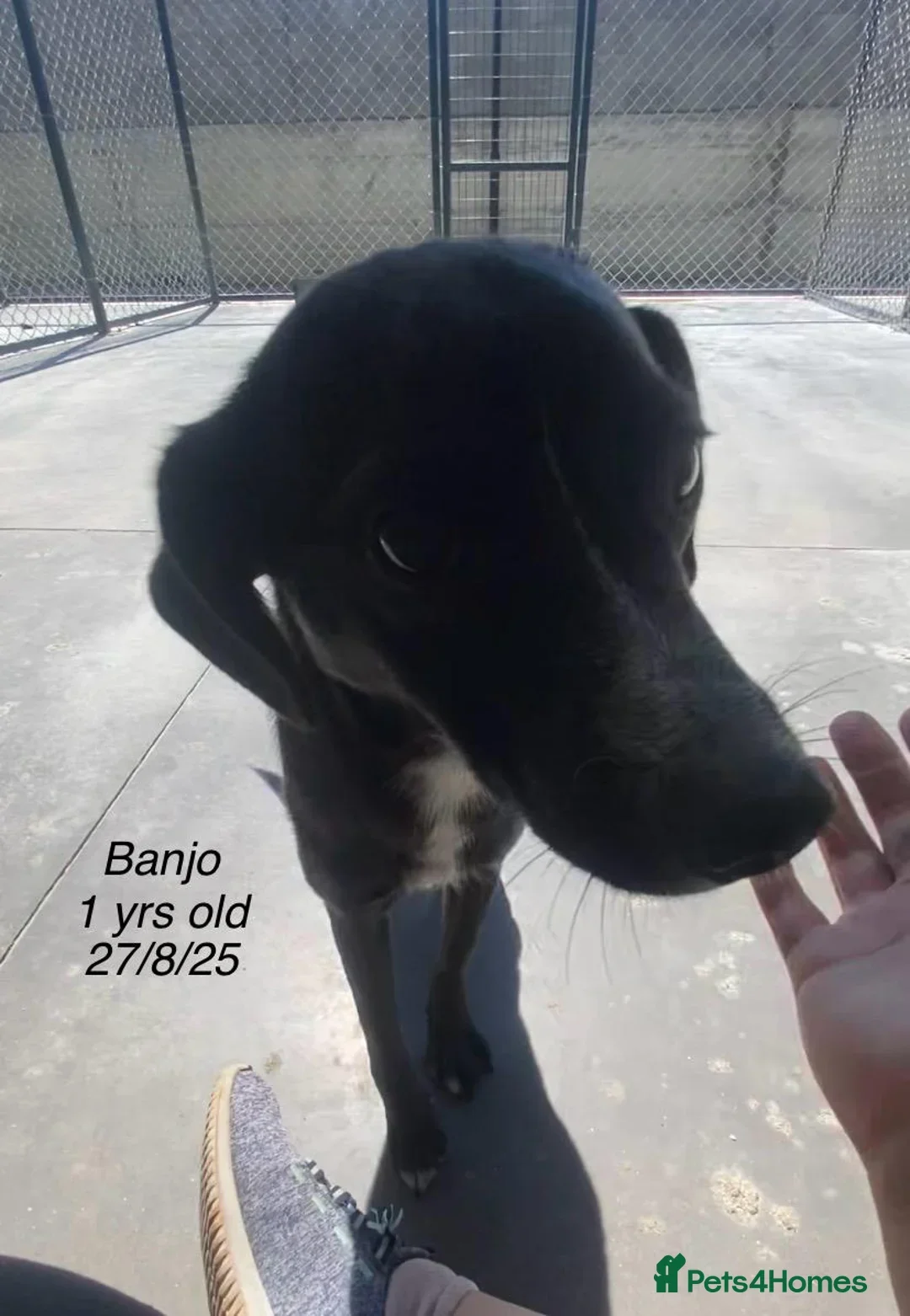 originalImage (5).webp