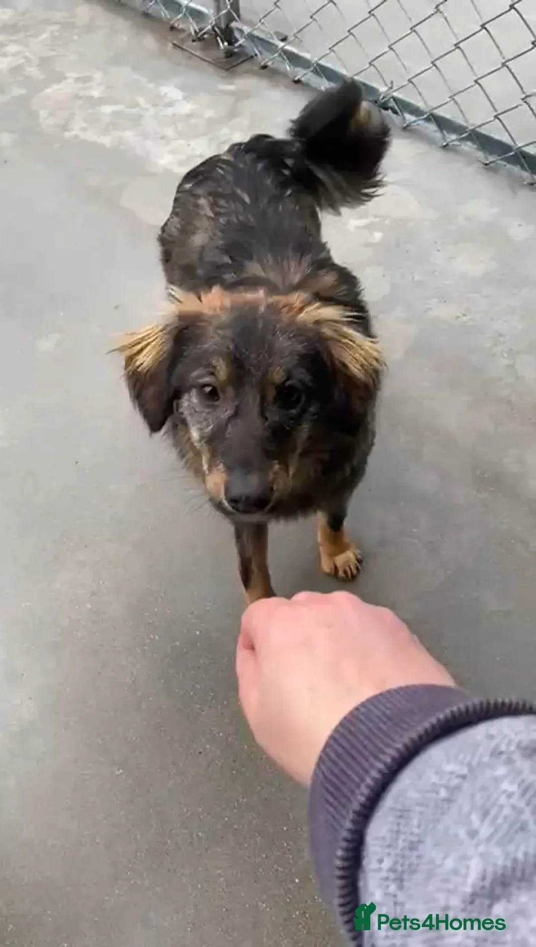 originalImage (2).webp