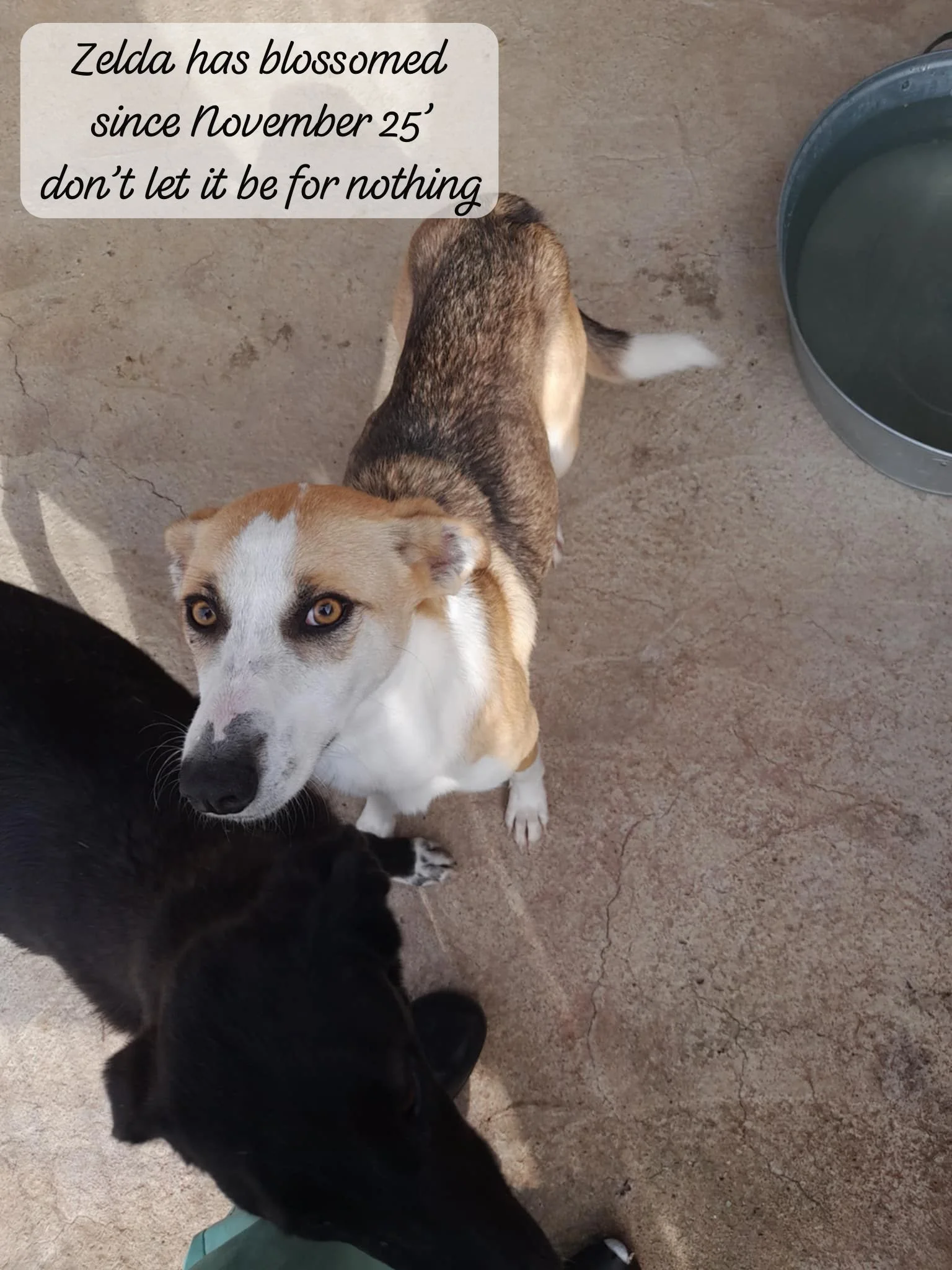 WhatsApp Image 2026-03-05 at 10.21.14 (1).jpeg