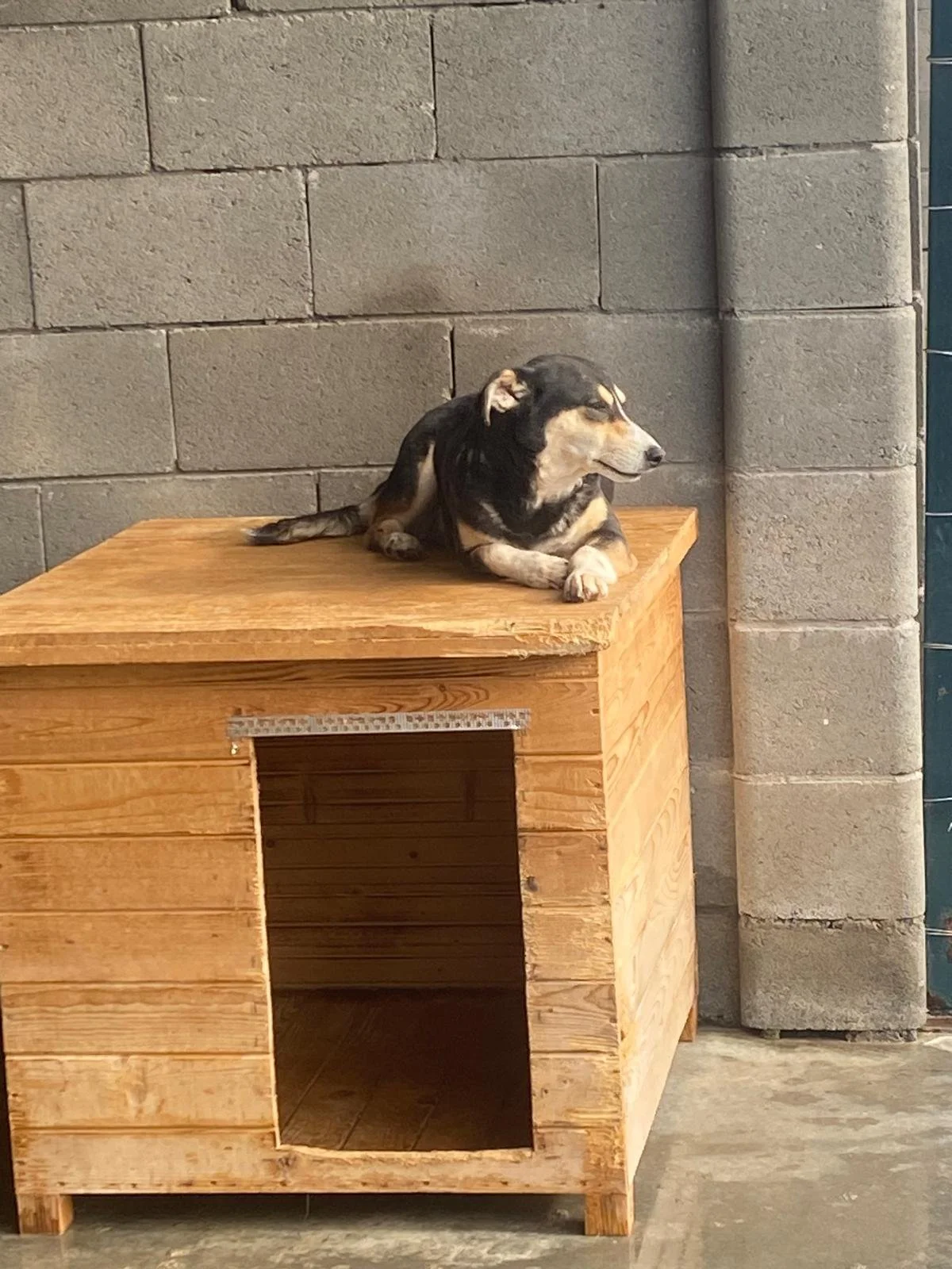 WhatsApp Image 2026-01-07 at 12.04.33.jpeg