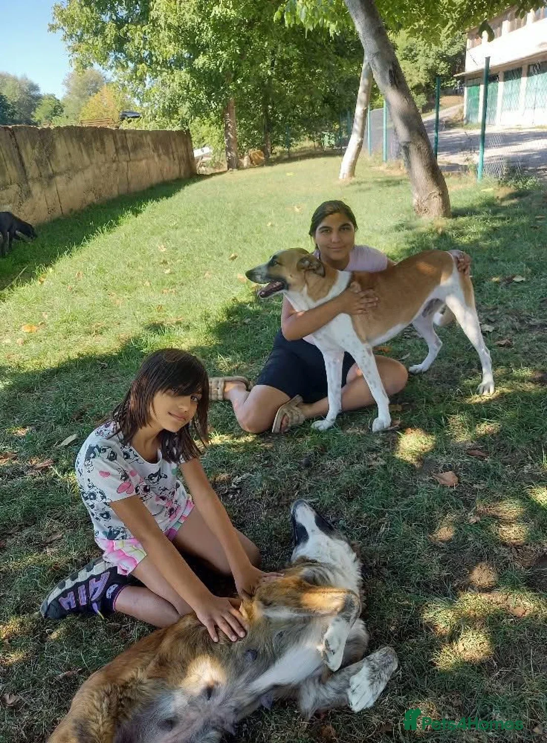 originalImage (3).webp