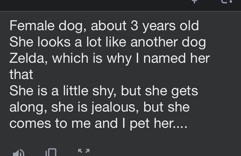 WhatsApp Image 2026-01-08 at 07.56.29.jpeg