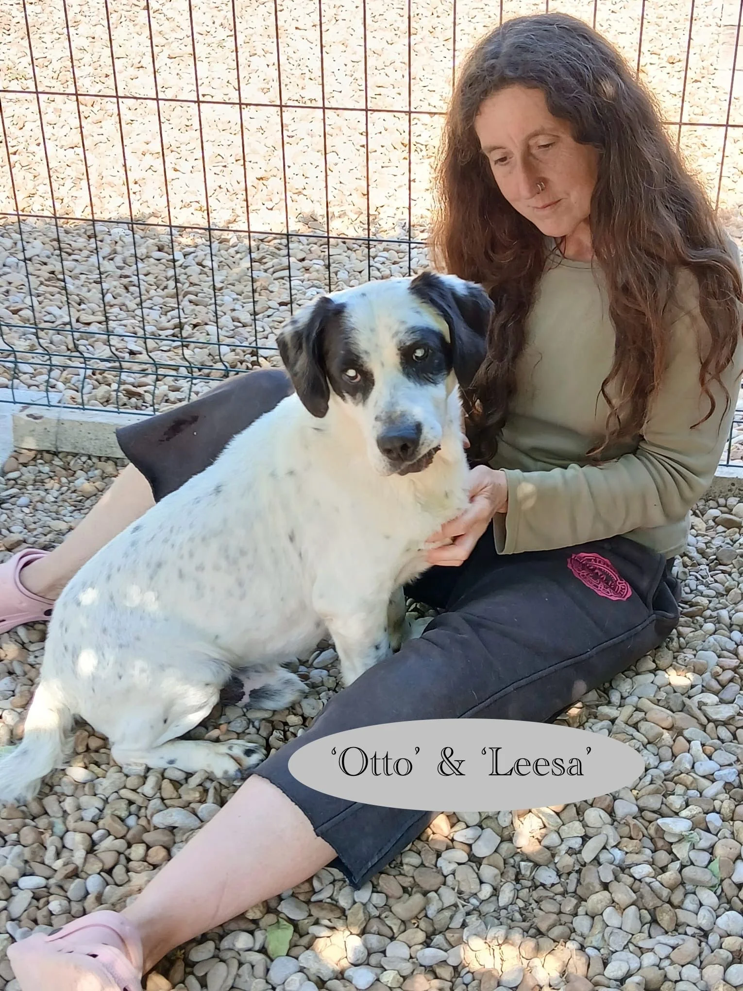 Otto