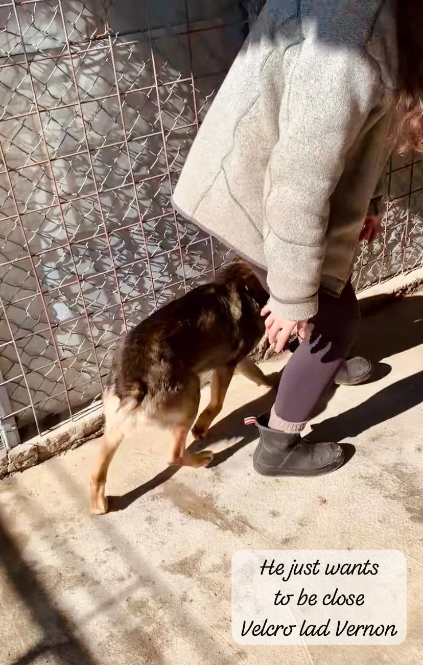 WhatsApp Image 2026-03-20 at 14.31.50 (1).jpeg