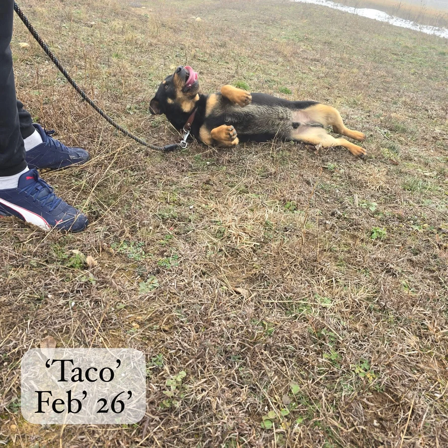 WhatsApp Image 2026-03-06 at 15.14.44 (1).jpeg