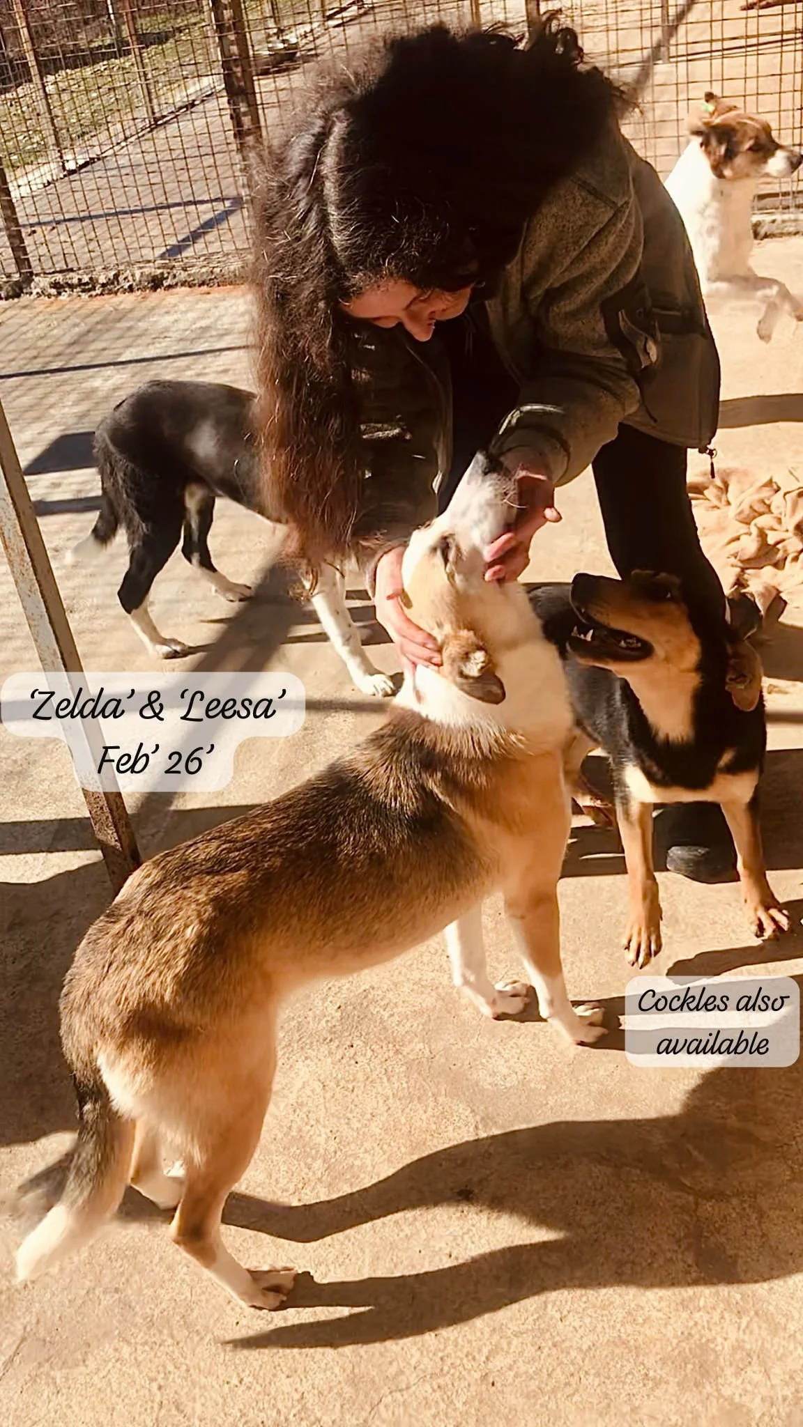 WhatsApp Image 2026-03-07 at 10.31.30 (1).jpeg