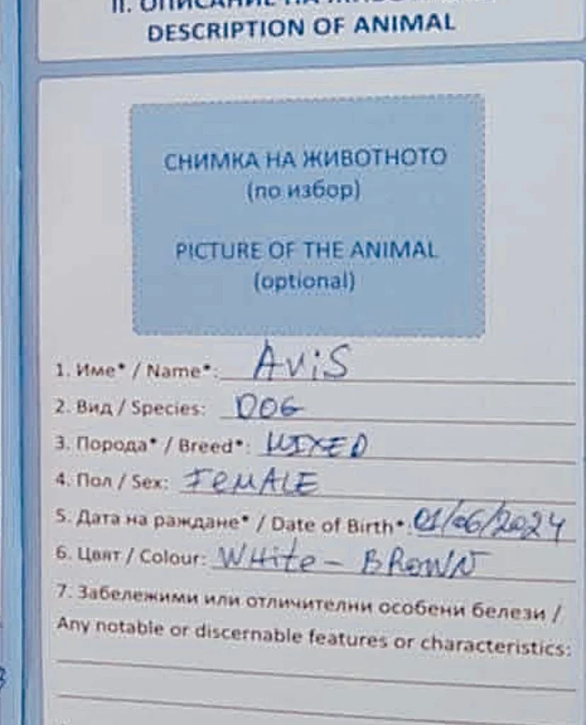 WhatsApp Image 2026-02-08 at 10.20.02 (2).jpeg