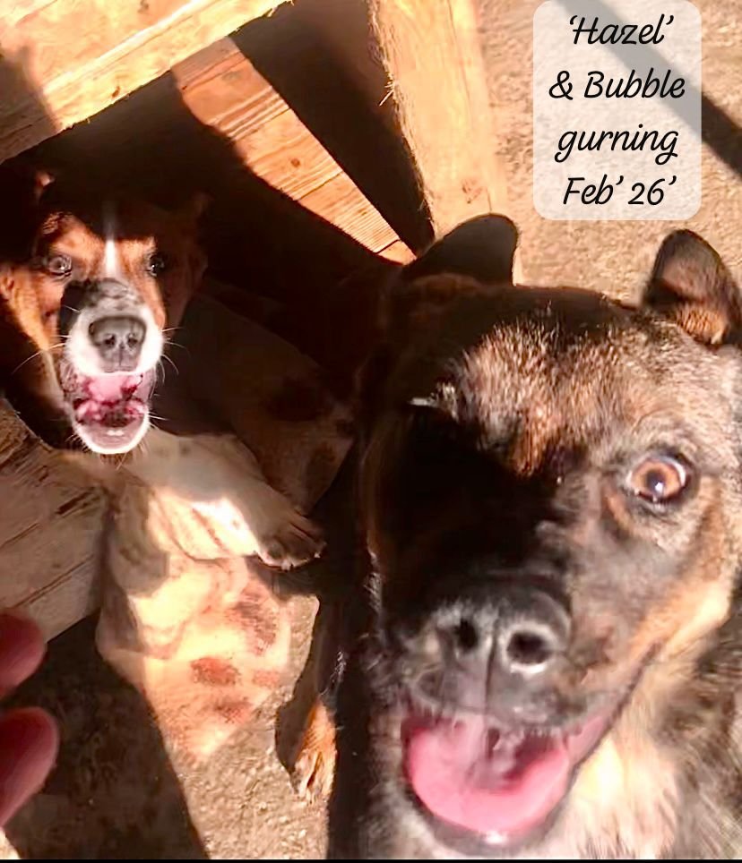 WhatsApp Image 2026-03-17 at 16.12.40 (1).jpeg