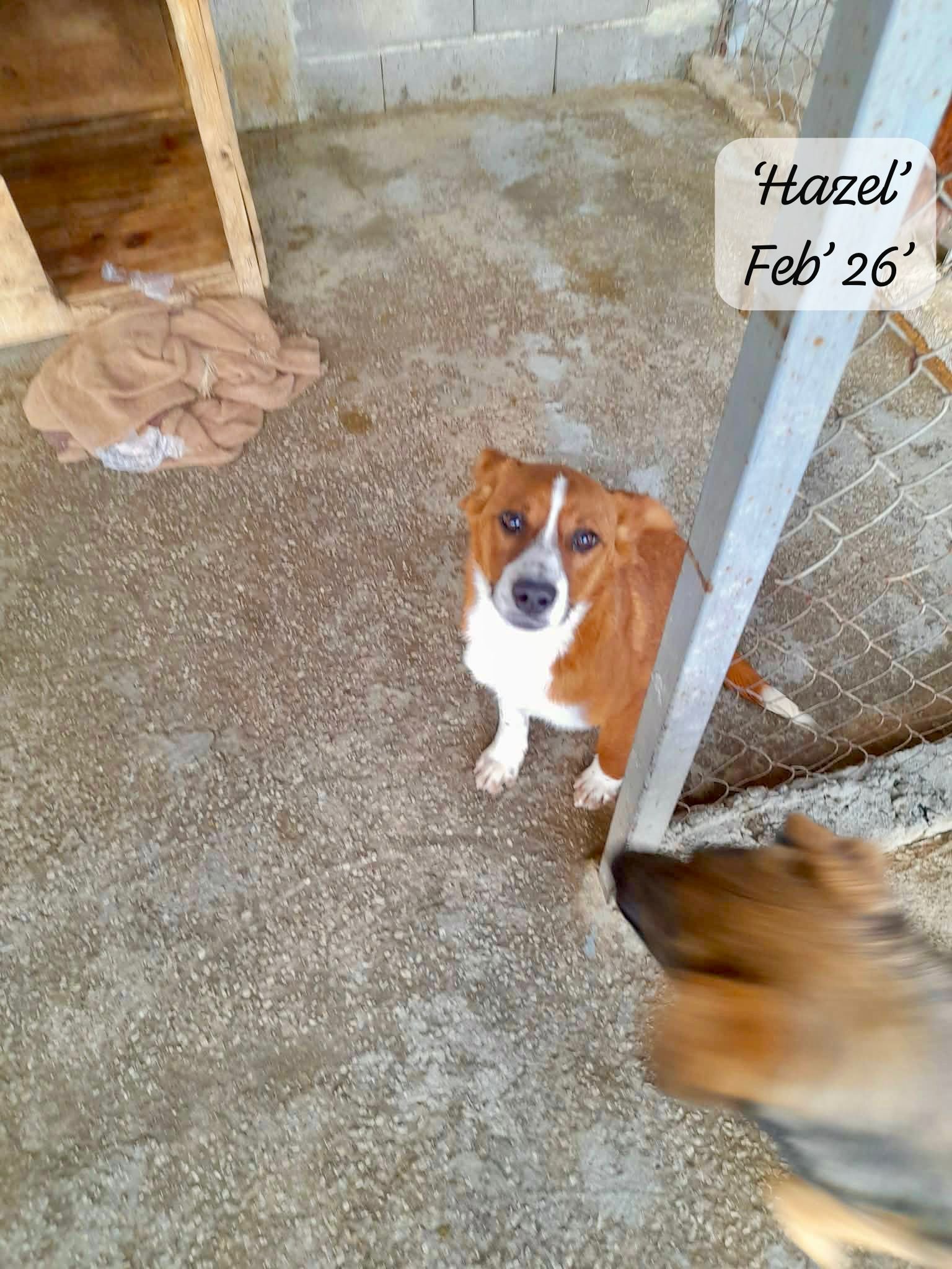 WhatsApp Image 2026-03-17 at 16.08.48.jpeg