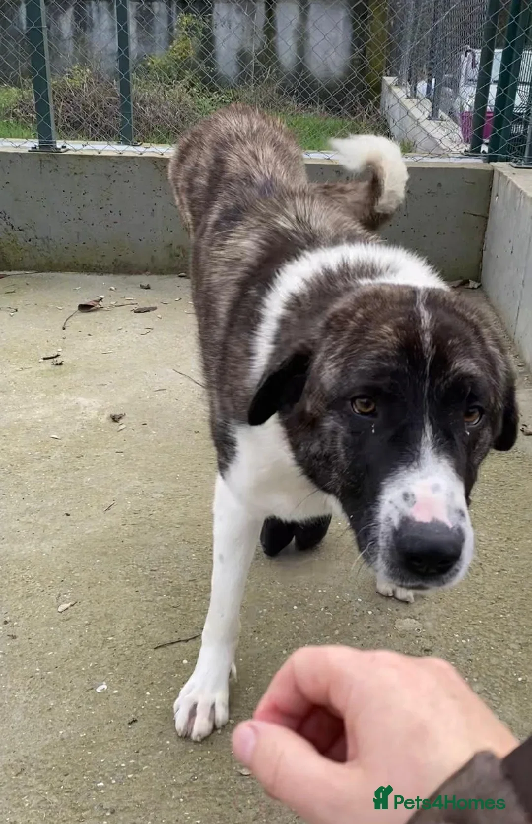 originalImage (2).webp