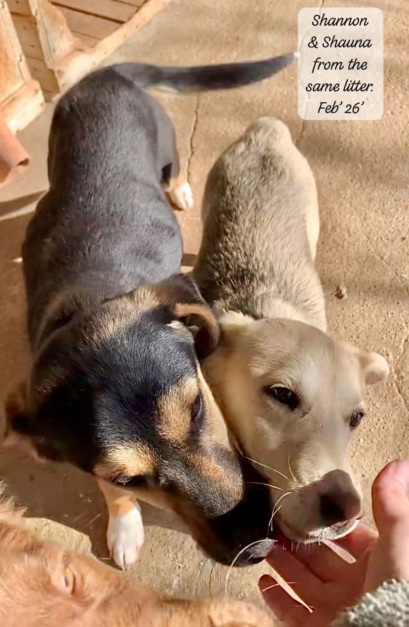 WhatsApp Image 2026-03-07 at 13.44.051.jpeg