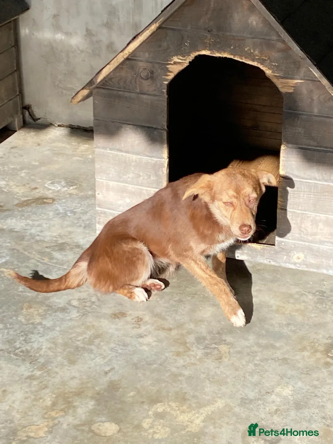 originalImage (8).webp