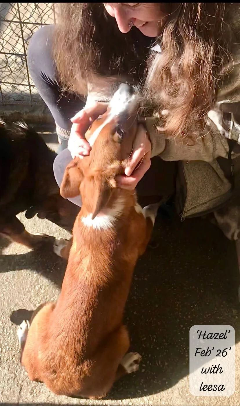 WhatsApp Image 2026-03-17 at 16.12.40 (2).jpeg