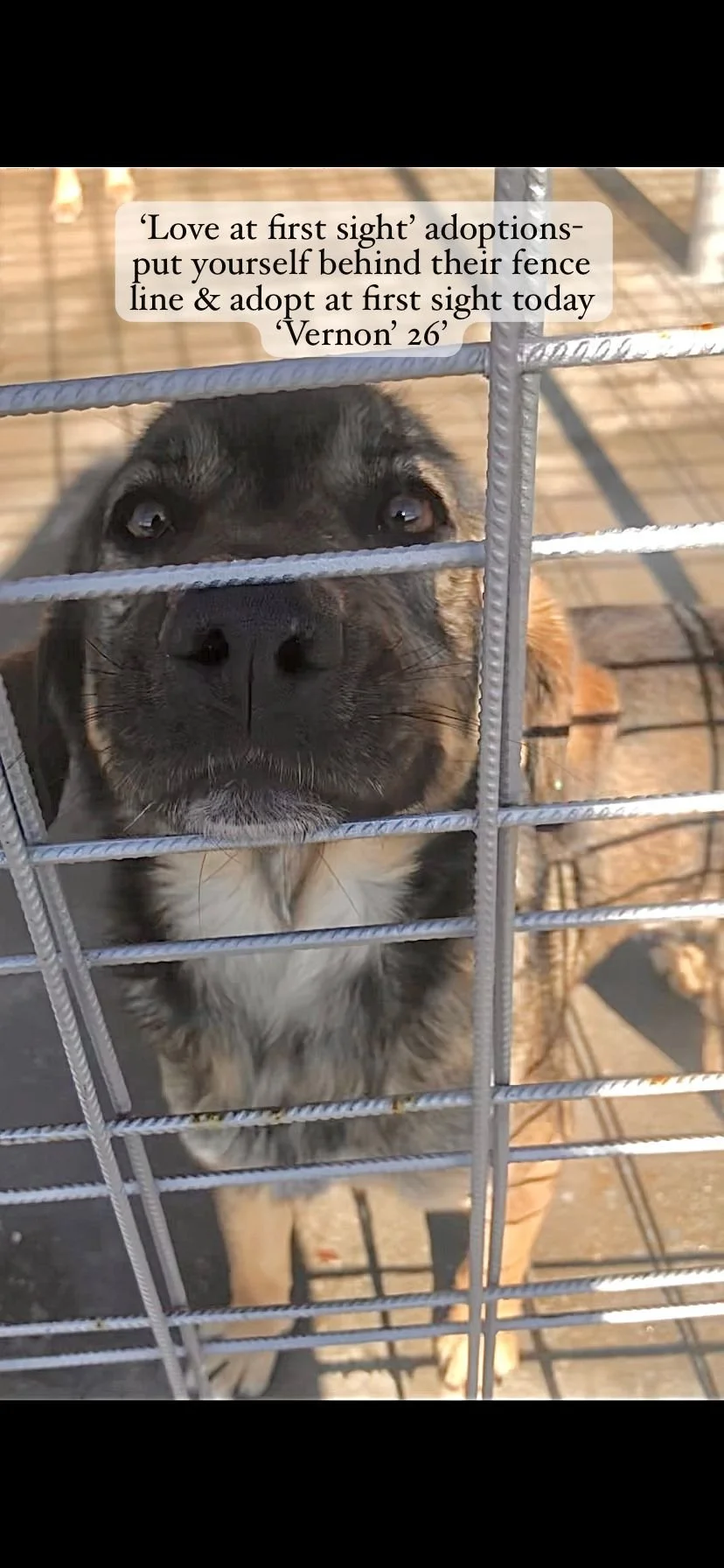 WhatsApp Image 2026-03-20 at 14.31.49 (1).jpeg