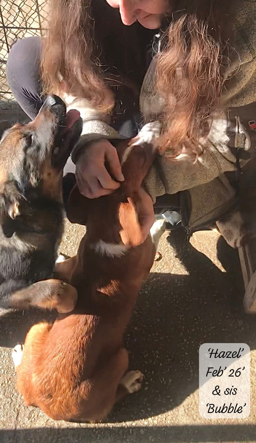 WhatsApp Image 2026-03-17 at 16.12.40 (3).jpeg