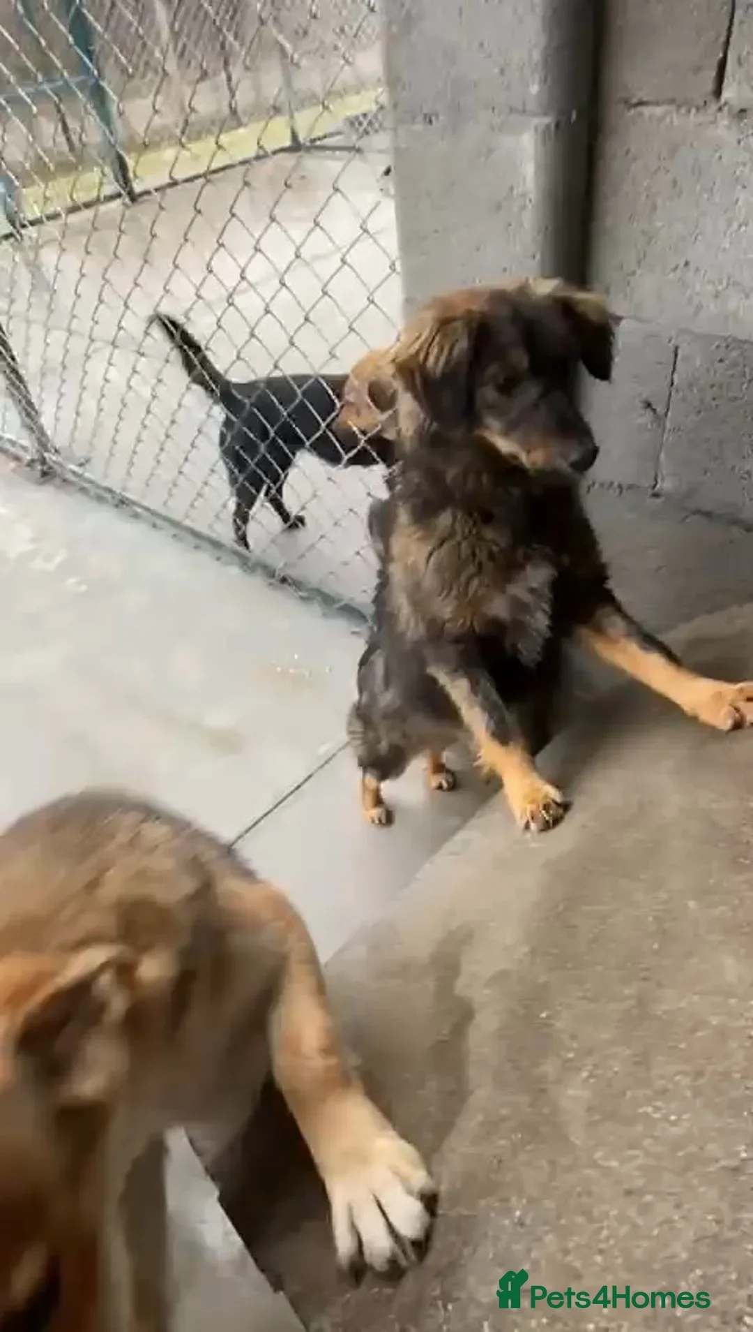 originalImage (4).webp