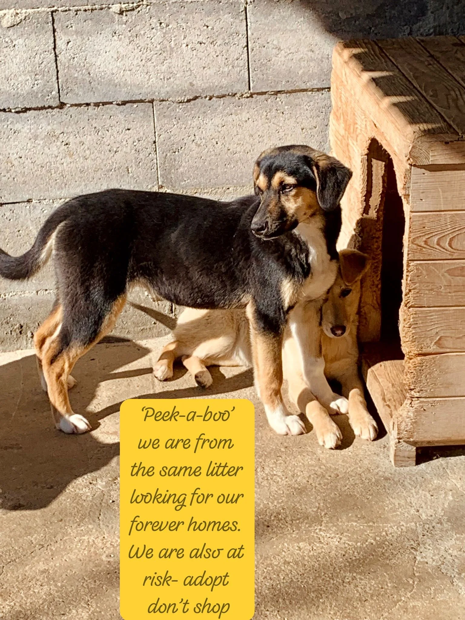 WhatsApp Image 2026-03-07 at 13.44.064.jpeg