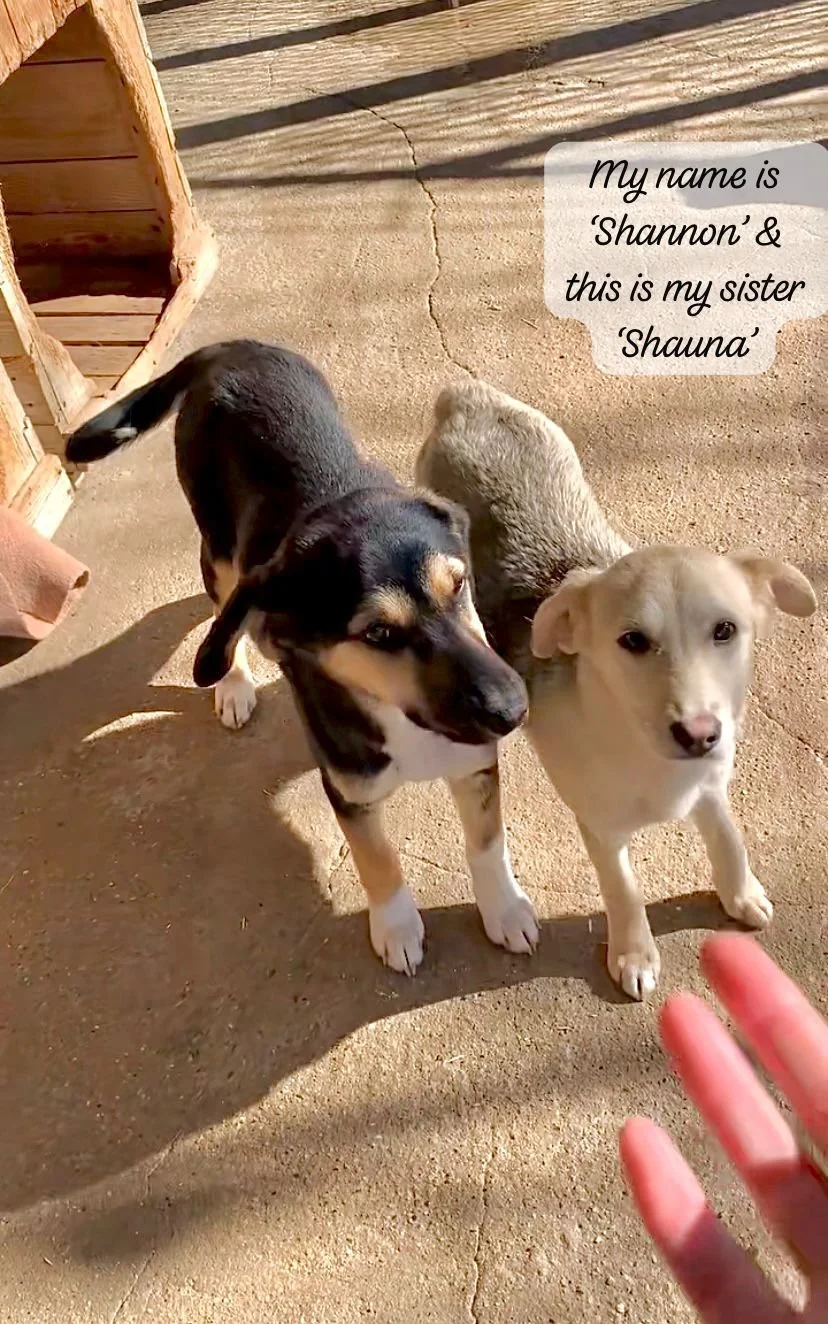 WhatsApp Image 2026-03-07 at 13.44.05.jpeg