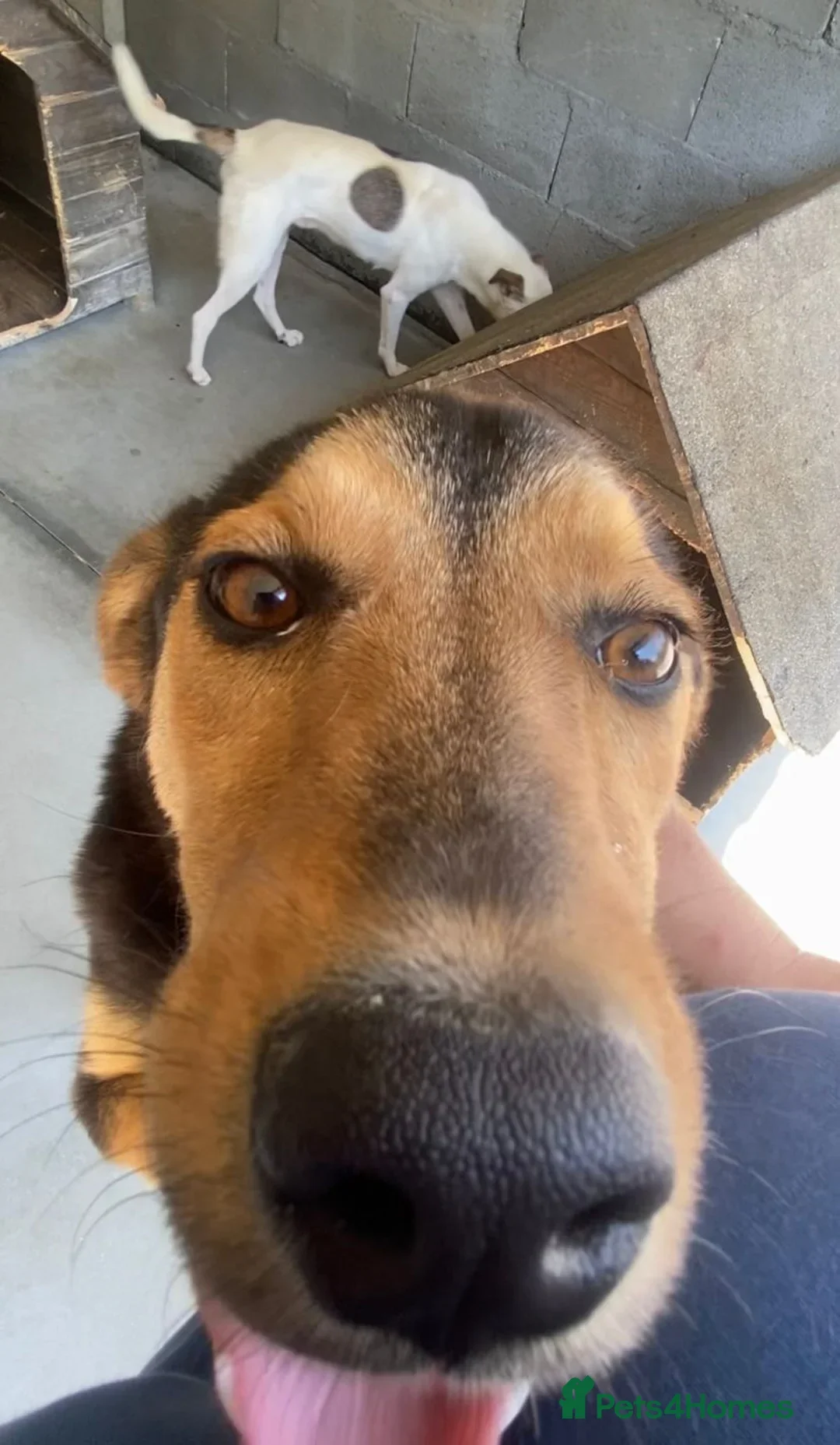 originalImage (3).webp