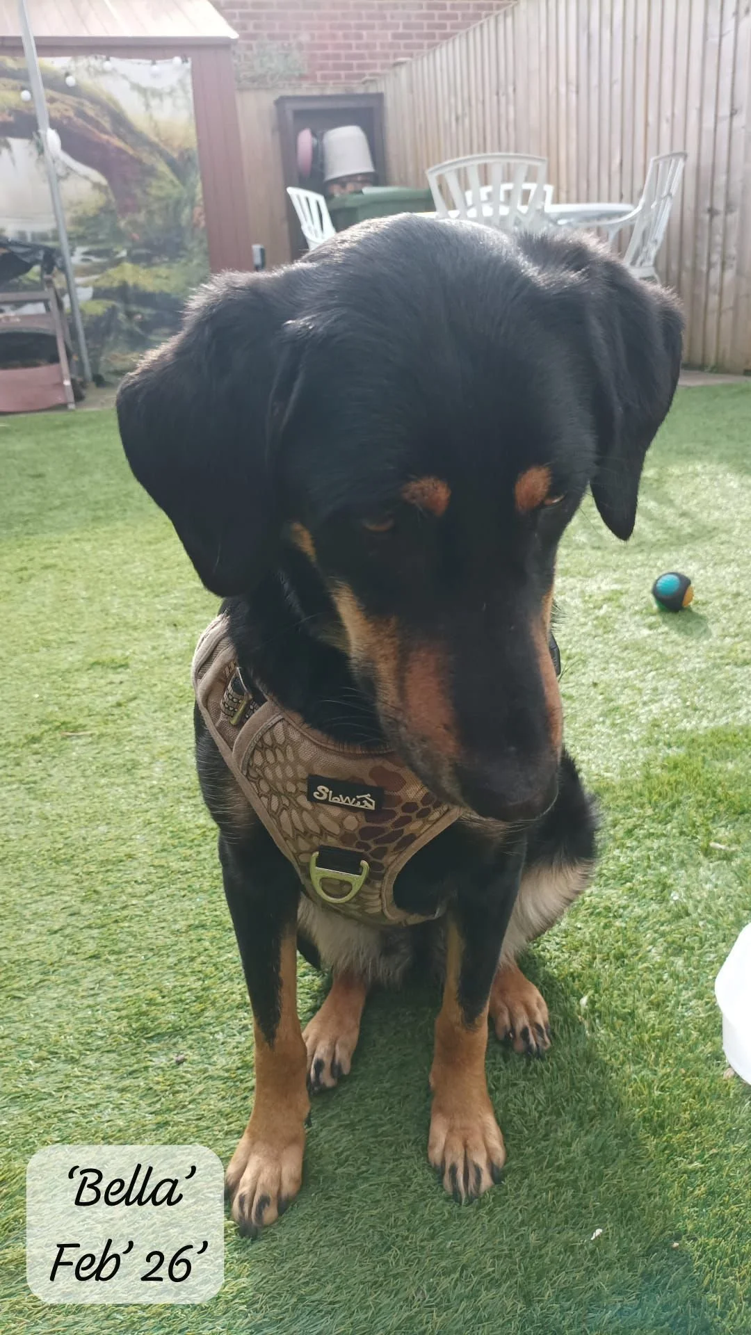 WhatsApp Image 2026-02-27 at 11.51.35 (1).jpeg