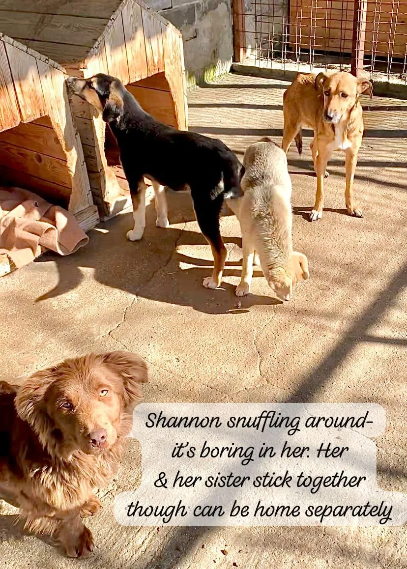 WhatsApp Image 2026-03-07 at 13.44.06.jpeg