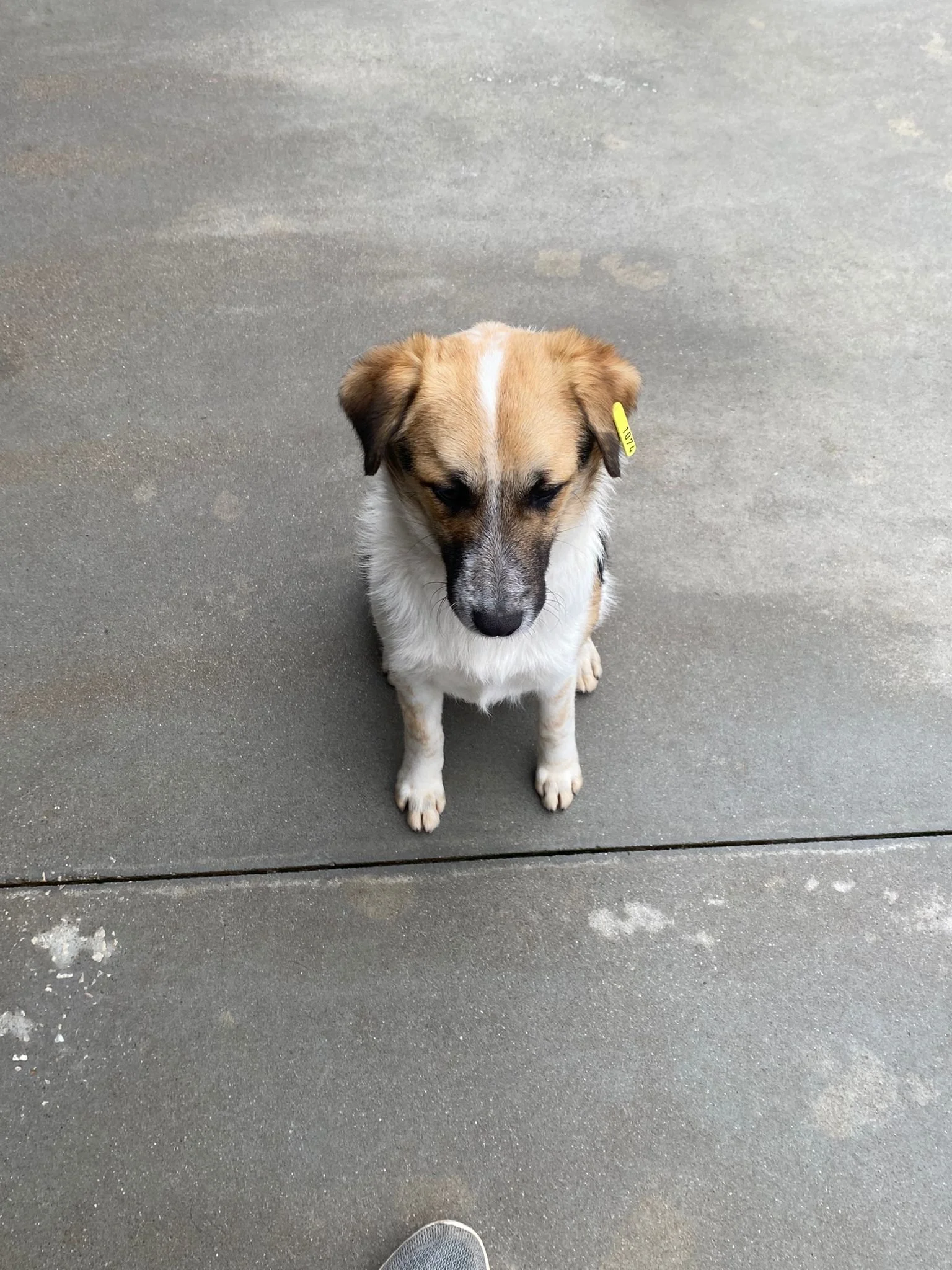 WhatsApp Image 2026-01-06 at 12.07.347.jpeg