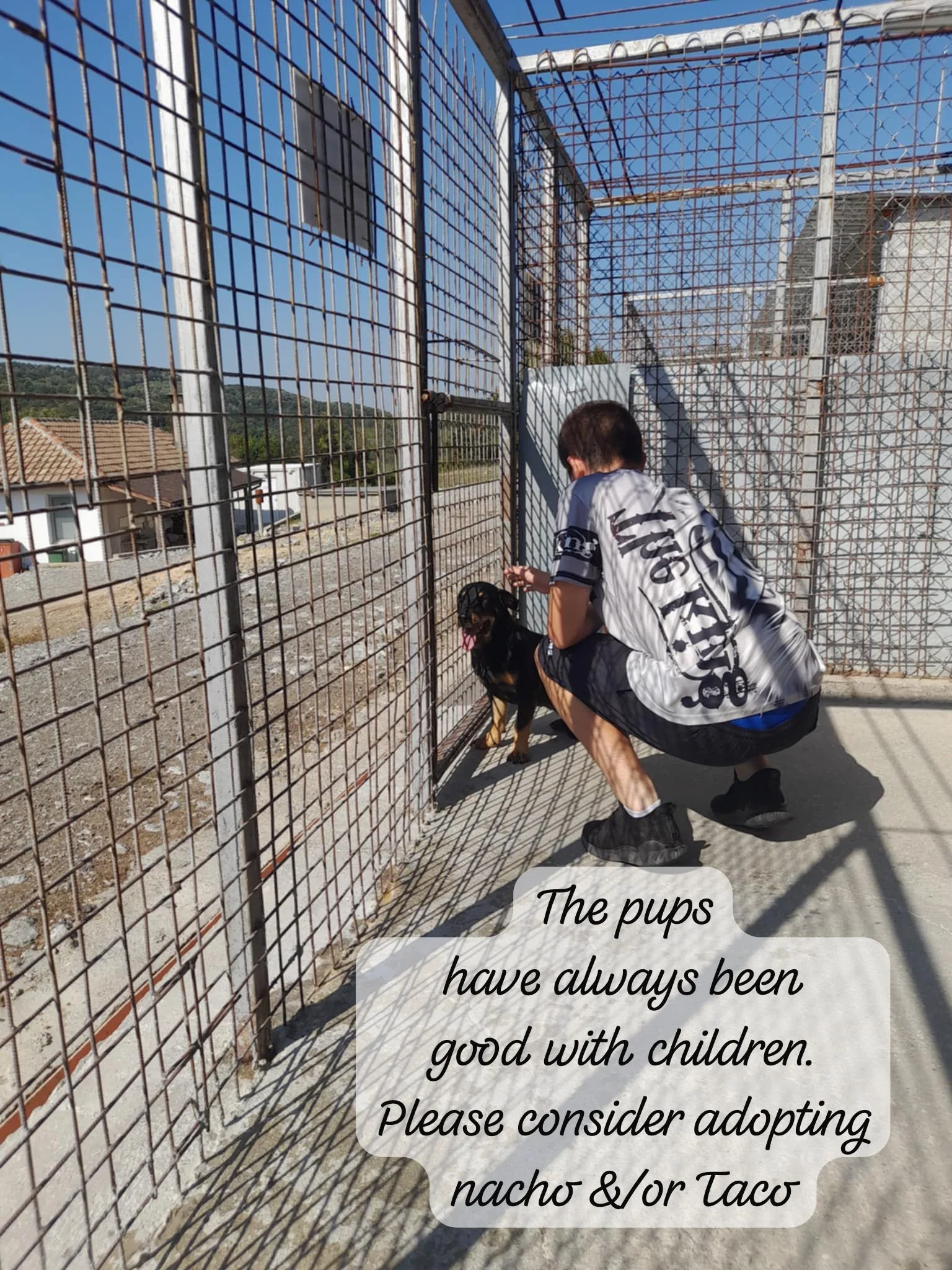 WhatsApp Image 2026-03-06 at 15.27.07 (2).jpeg