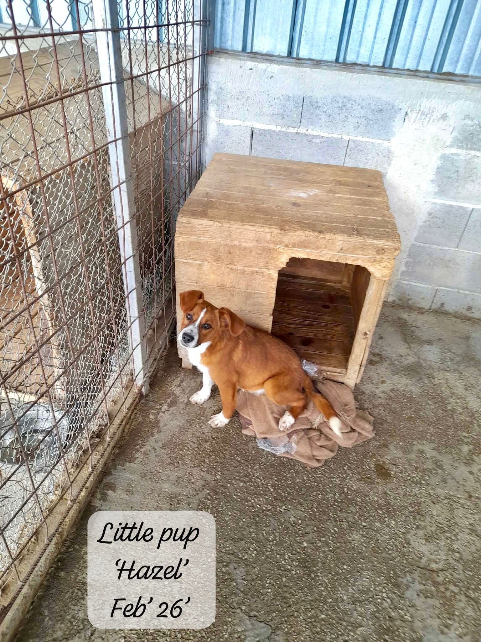 WhatsApp Image 2026-03-17 at 16.08.49 (1).jpeg